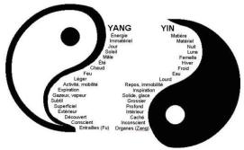 yin et yang